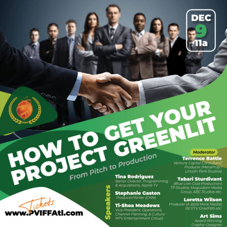 how-to-get-your-project-greenlit-pviff-23